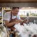 Microempresarios, Empresarios
