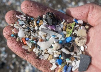 Microplásticos en el mar