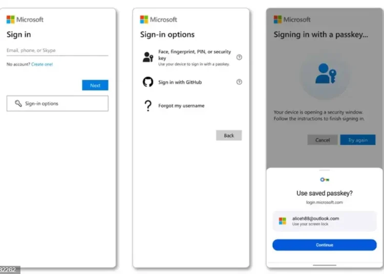 Las contraseñas "no son suficiente" para proteger la vida digital de los usuarios.