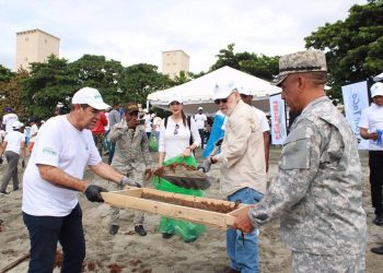 Ministerio de Medio Ambiente recoge sargazo encontrado en la playa durante la jornada de limpieza de costas.
