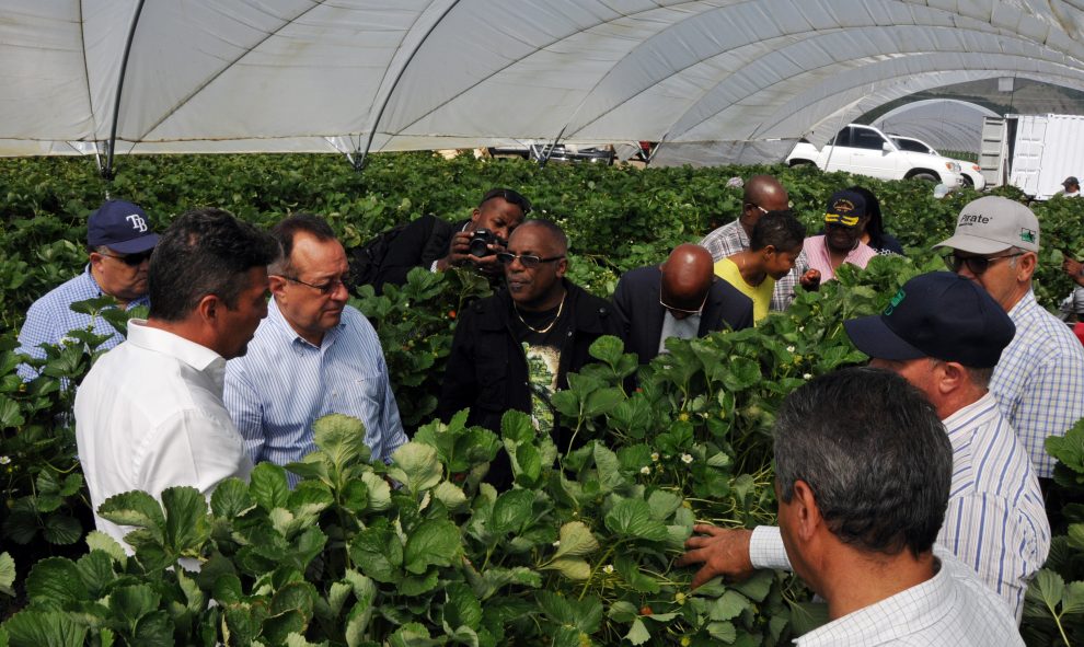 ministro agricultura