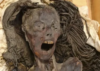 Los autores descubrieron que la momia todavía estaba en buenas condiciones incluso 2,500 años después de su entierro.