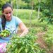 La inclusión financiera impulsa el empoderamiento de las mujeres en el sector cooperativo dominicano.