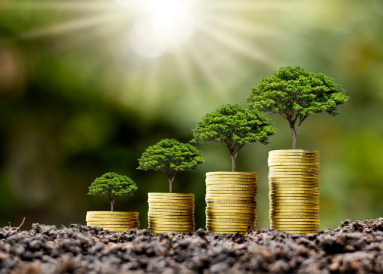 Economía verde. - Fuente externa.