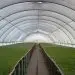 La región norte de República Dominicana cuenta con 4.8 millones de metros cuadrados cultivados bajo ambiente protegido. - Fuente externa.
