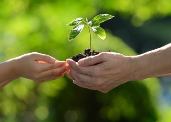 Bupa Dominicana tiene el propósito de que los infantes aprendan sobre el planeta Tierra y se conviertan en adultos responsables y agentes de cambio. | Fuente externa.
