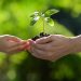 Bupa Dominicana tiene el propósito de que los infantes aprendan sobre el planeta Tierra y se conviertan en adultos responsables y agentes de cambio. | Fuente externa.