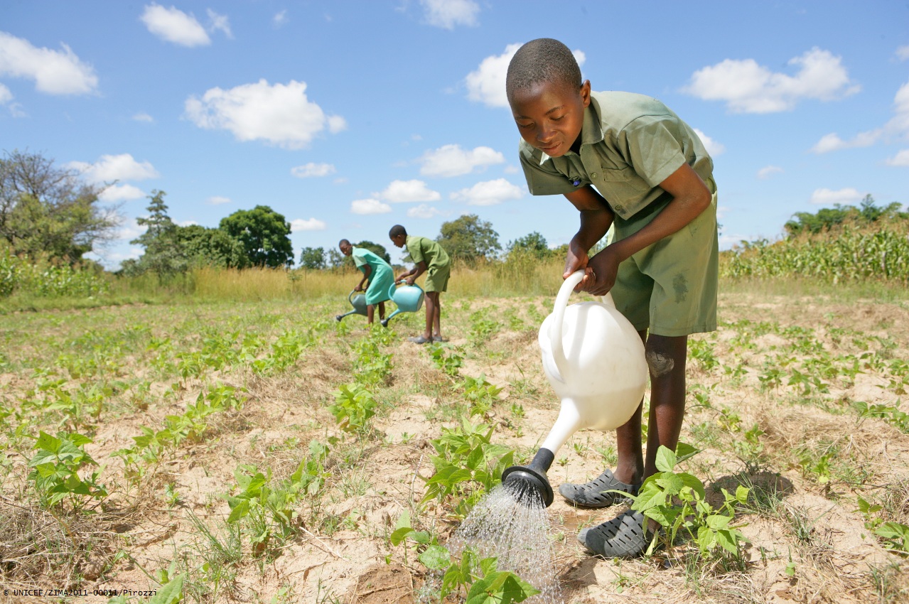 Unicef espera que los gobiernos utilicen mejor las estadísticas. Foto: Unicef.