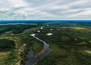 América Latina y el Caribe es hoy la región más verde del mundo.