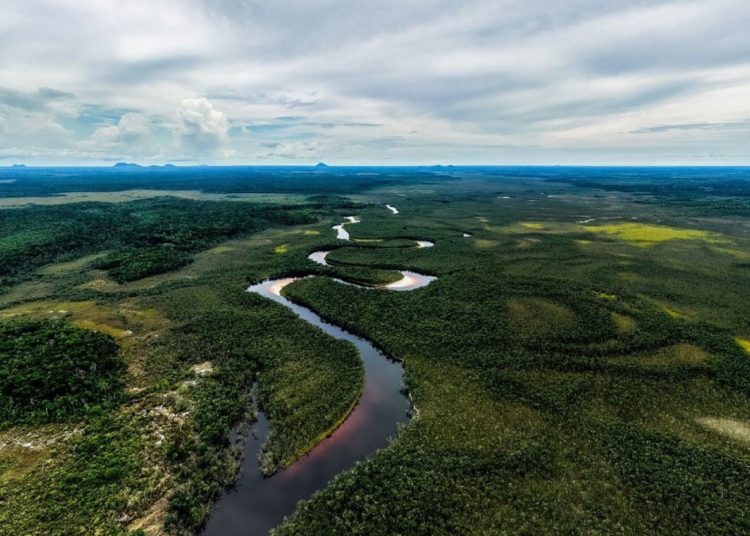 América Latina y el Caribe es hoy la región más verde del mundo.