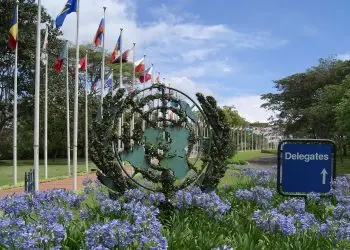 Esta crisis interactúa con otros desafíos globales, como el cambio climático, los conflictos y las recesiones económicas.