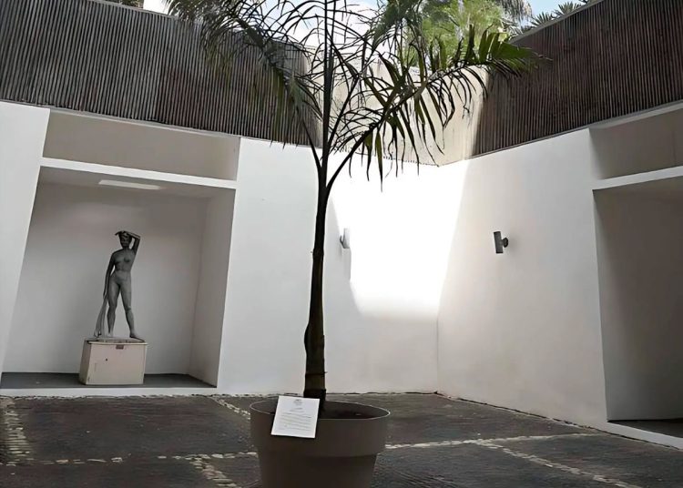 Lésper agrega que lo que está en juego no es solo la reputación de la Bienal, sino la credibilidad de la institucionalidad cultural dominicana.