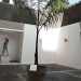 Lésper agrega que lo que está en juego no es solo la reputación de la Bienal, sino la credibilidad de la institucionalidad cultural dominicana.