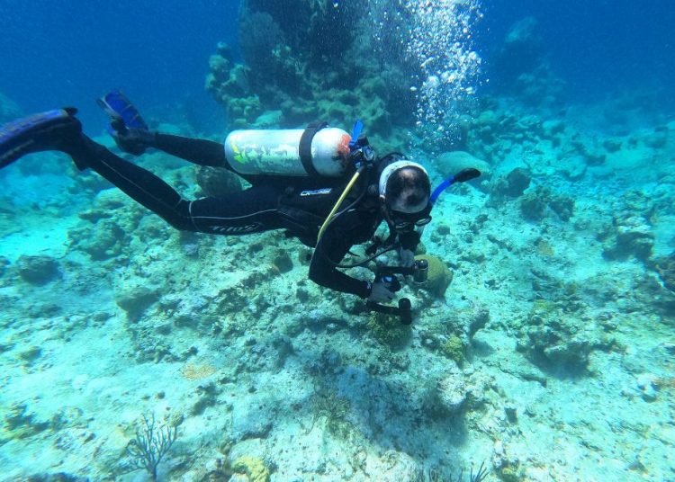 Omar Shamir Reynoso durante su práctica de buceo. | Cortesía