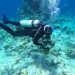 Omar Shamir Reynoso durante su práctica de buceo.  | Cortesía