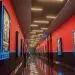 "Inside Out 2" lideró la taquilla mundial con una recaudación de US$1,698 millones.- Fuente externa.