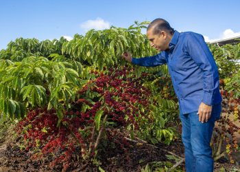 Manuel Pozo Perelló