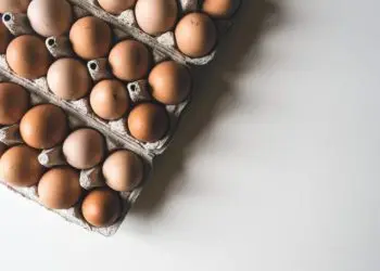 El pasado 7 de febrero, el USDA emitió un informe y señaló que "el momento y la magnitud de los brotes de gripe aviar han generado un desequilibrio en la oferta nacional de huevos de mesa, con escasez en algunas regiones y disponibilidad apenas suficiente en otras".- Fuente externa.