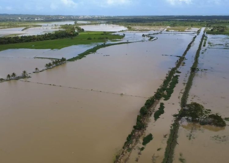 Las parcelas I-5 e I-6, ubicadas en el sector Cimara, resultaron completamente anegadas debido al desbordamiento de los ríos El Helechal y Nagua.