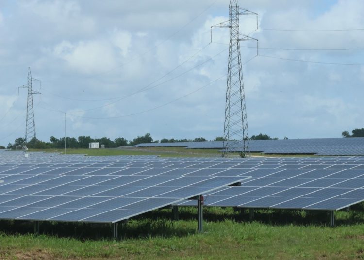 El informe de la SB sobre inclusión financiera y sostenibilidad destaca que el 76% de los créditos correspondió a paneles fotovoltaicos.