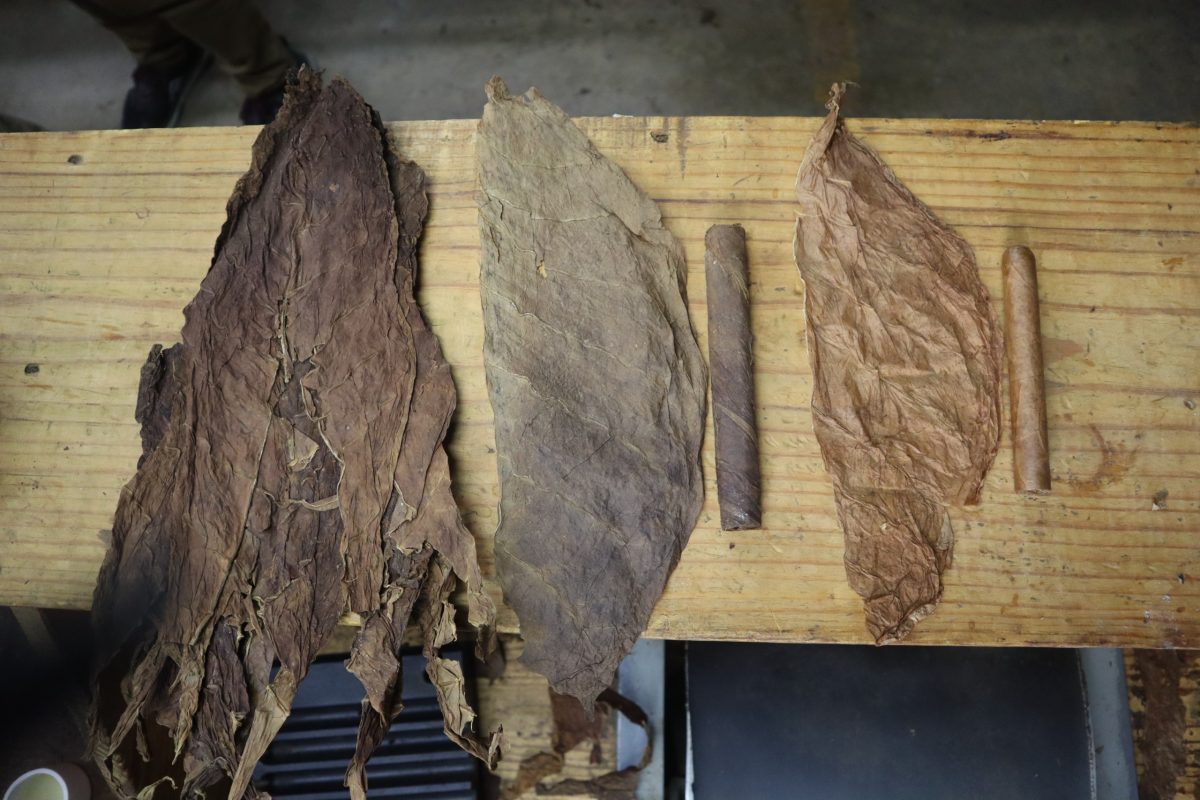 Tripa, capote y capa, en ese orden, de izquierda a derecha. - Ronny Cruz.