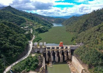 Estos datos están inmersos los fuertes subsidios que algunos países aplican a la energía y a los combustibles, lo que influyen en que el dato del promedio a nivel latinoamericano vaya a la baja.