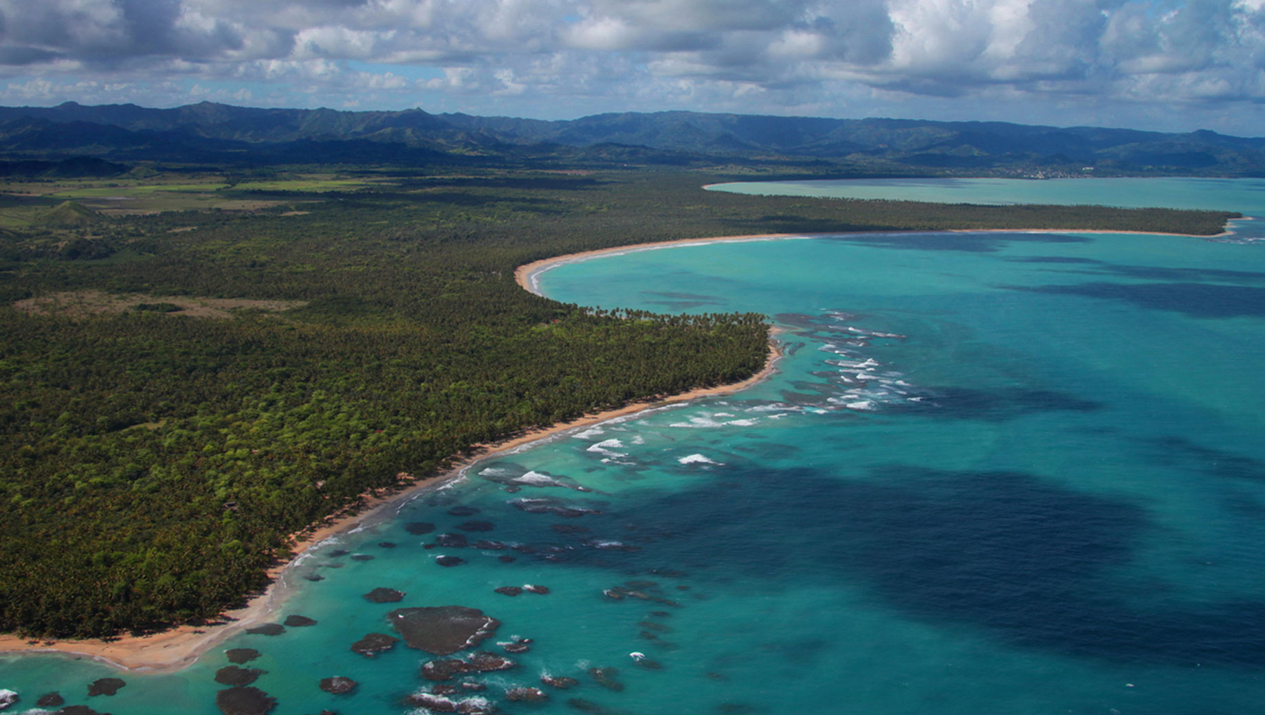 pellerano & herrera tropicalia