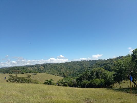 Plan sierra