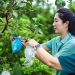 El premio reconoce soluciones en salud, energía, agua, alimentos y acción climática.