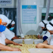 Procesamiento de macadamia en planta.