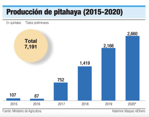 Producción de pitahaya