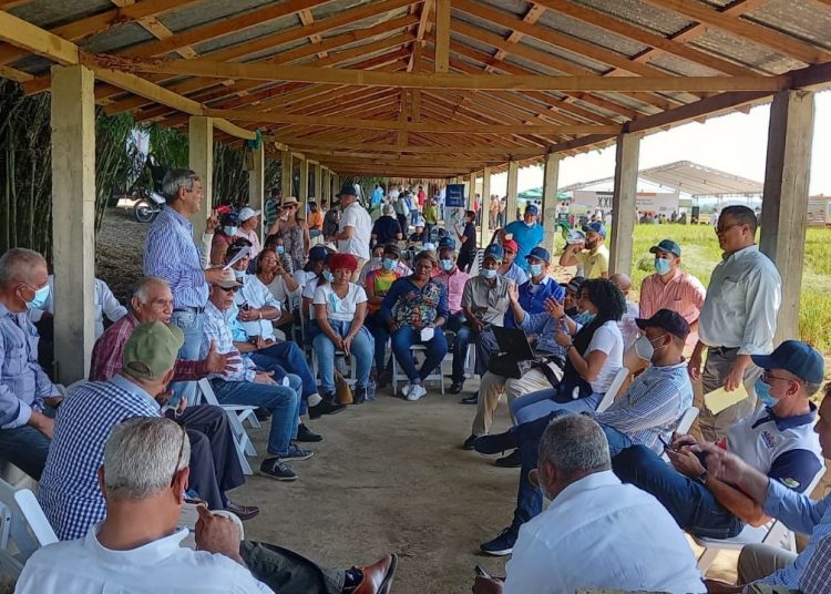 Productores agropecuarios