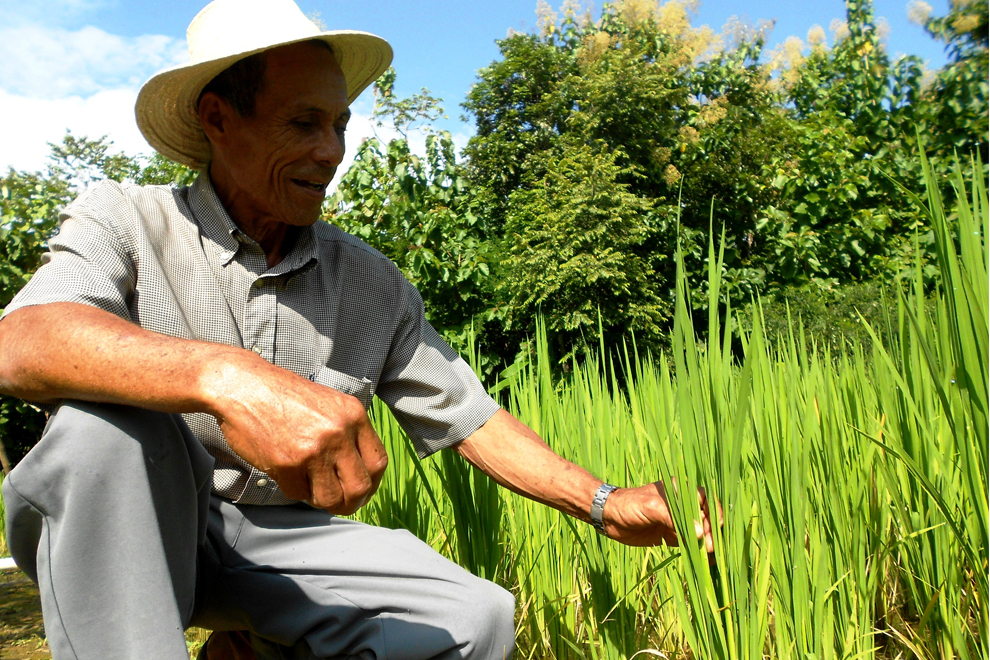 productores del agro panameño