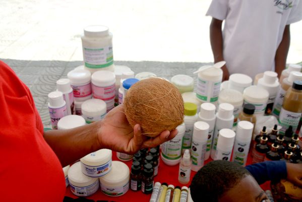 Productos a base de coco (5)
