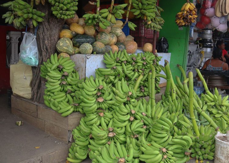 Productos de la ciudad ganadera.
