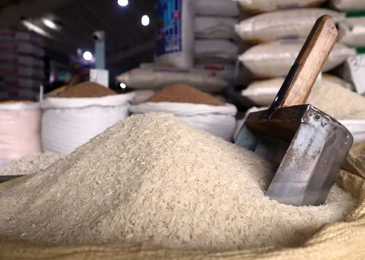 En 2024 el arroz concentró el 13.9% del total de los préstamos formalizados por el estatal Banco Agrícola.
