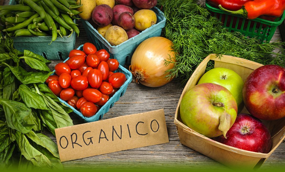 productos orgánicos fondo nordom 603 alimento organico