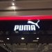 Puma.- Fuente externa.