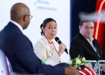 Velarde resumió los principales factores para determinar la viabilidad financiera de un proyecto energético.