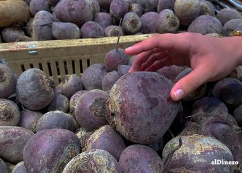 Cliente comprando remolacha en supermercado de Santo Domingo. | Ronny Cruz