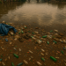 Estudio científico advierte riesgos para la salud y llama a reforzar la vigilancia ambiental y el tratamiento de aguas.