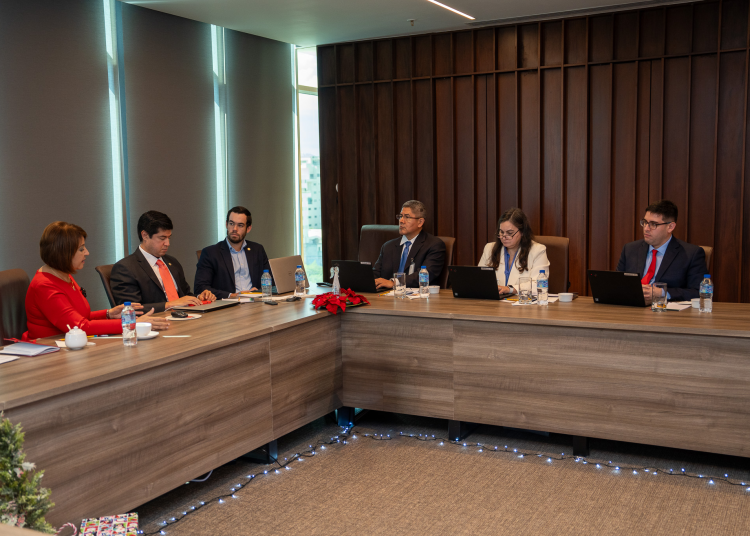 Rosanna Ruiz, Julio Lozano, Alejandro Rosales, Pamela Madrid y Diego Calderón. | Fuente externa.