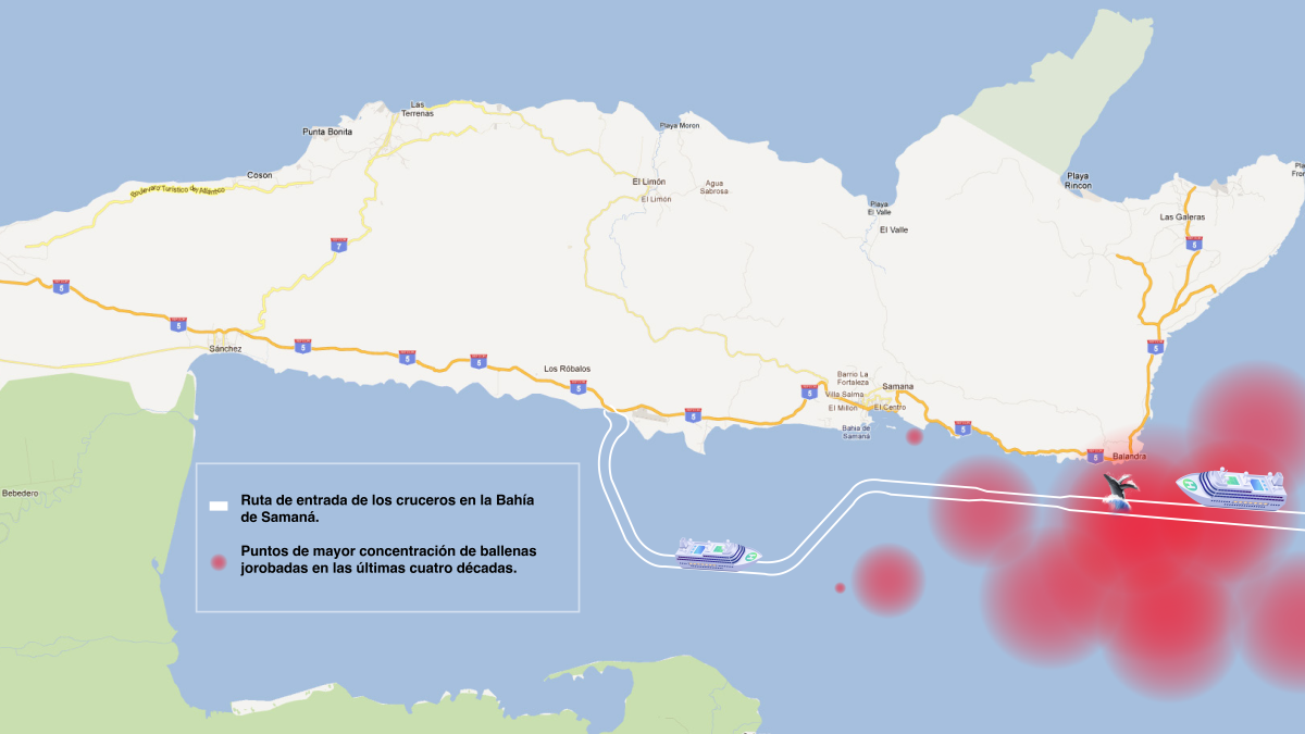 Ruta de entrada de los cruceros en la Bahía de Samaná. Ilustración realizada en base al informe de impacto ambiental del puerto Duarte Arroyo Barril, del Grupo ITM, y al estudio de Samana y Betancourt, L., Herrera-Moreno, A. y Beddall, K. (2012) sobre la distribución espacial de las ballenas jorobadas en la Bahía de Samaná, República Dominicana. Scientific Paper to the International Whaling Commission IWC, Panamá, June 11-29, 2012. Ilustración: elDinero.