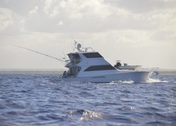 Botes, pesca