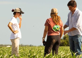 Pequeños agricultores trabajan cultivos en América Latina, clave para la seguridad alimentaria de la región.