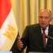 Sameh Sukri, Egipto