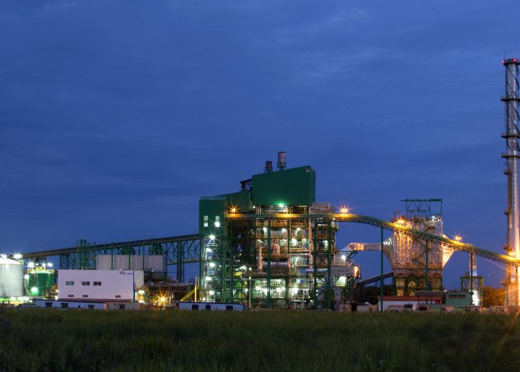 San Pedro Bio Energy 1