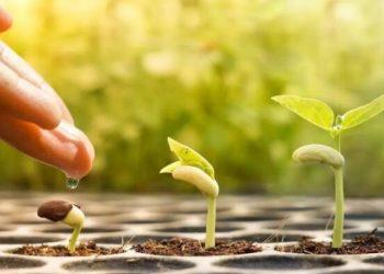 Ministerio de Agricultura han externado en varios escenarios la necesidad de declarar la sanidad animal y vegetal como un bien público en el país, a fin de garantizar la inocuidad alimentaria y evitar la entrada y salida de enfermedades y plagas.