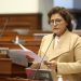 Silvia Monteza Facho, vicepresidenta del Congreso de Perú. | Fuente externa.