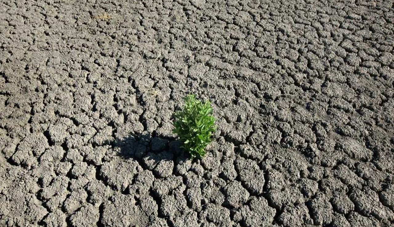 sobreexplotación de la tierra